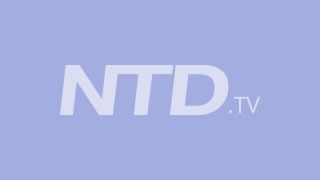 NTD 유유자재, 우수 어린이프로로 선정(한,중)