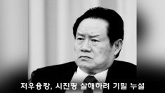 저우융캉, 시진핑 살해하려 기밀 누설(한,중)