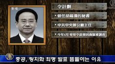 중공, 링지화 죄명 발표 뜸들이는 이유(한,중)