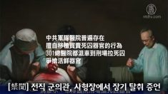 [禁聞] 전직 군의관, 사형장에서 장기 탈취 증언(한,중)