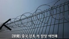 [禁聞] 중국 감옥 속 참상 여전해(한,중)