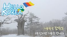 230회-겨울왕국 ‘강원도’-2부 신비한 겨울을 만나다