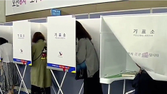 사전투표, 오후 3시 기준 351만명..투표율 8.3%