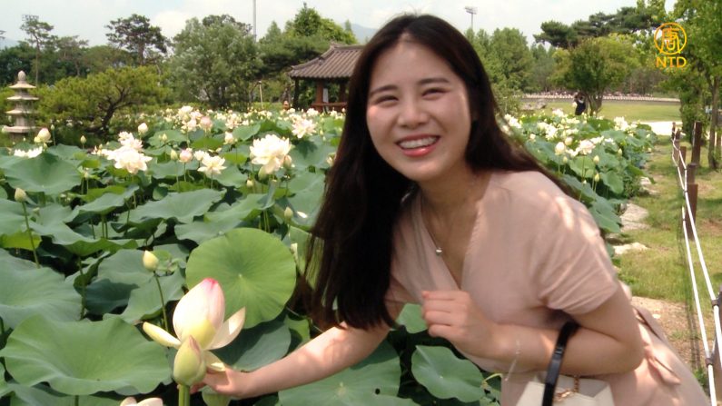 [헬로우 코리아] 266회-2 물과 꽃의 정원 ‘세미원’, 연꽃 축제 현장을 가다