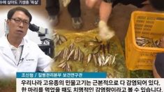 ‘민물고기 날로 먹다간 담도암’…간흡충 감염자 50만으로 폭증