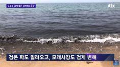 오수로 검게 물든 대천해수욕장..도대체 무슨 일이