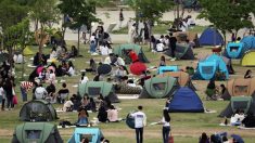 한강공원 가시는 분들 ‘쥐’ 조심하세요