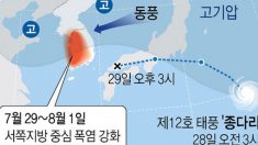 ‘종다리’ 믿었건만…열대성저기압으로 변해 폭염에 가세