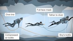 “다이버가 태국 소년들을 ‘의식없는 아기’처럼 끌고 나왔을 것”