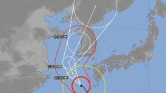 일본기상청, 태풍 솔릭 예상진로 수정…”인천으로 진입”