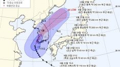 남쪽으로 경로 바뀐 ‘솔릭’..수도권보다 충청이 피해 클듯