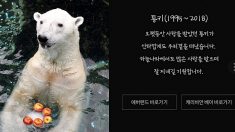 에버랜드 북극곰 ‘통키’, 갑자기 하늘나라로