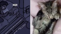 에픽하이 신곡 ‘룰라비 포 어 캣(LULLABY FOR A CAT)’ 듣고 꿀잠에 빠지는 고양이들