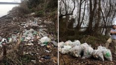 지금 해외 소셜미디어에서 유행이라는 ‘#trashtag’ 챌린지