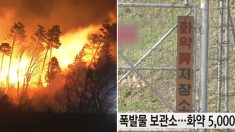 강원도 산불 소식 듣고 화약고로 달려가 ‘대형 폭발’ 막은 시민