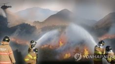 ‘내 집이 불에 타더라도 나는 소방관’ 꿈쩍 않고 산불현장을 지킨 소방관