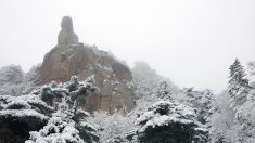 5월 코 앞에 두고 봄눈 내린 설악산 근황