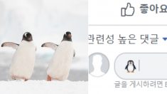 페이스북 댓글에서 깜찍한 ‘펭귄 이모티콘’ 나오게 하는 방법