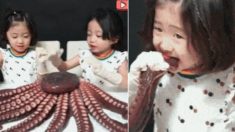 6살 쌍둥이 자매의 ‘대형문어 먹방’이 논란이 된 이유 (영상)