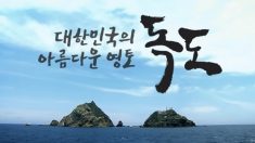 “‘독도 홍보 영상’을 시청해주세요”…온라인에서 벌어진 특별한 운동