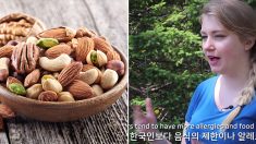 “한국인은 왜 알레르기가 없나요”라는 외국인 유튜버의 질문에 누리꾼이 답했다