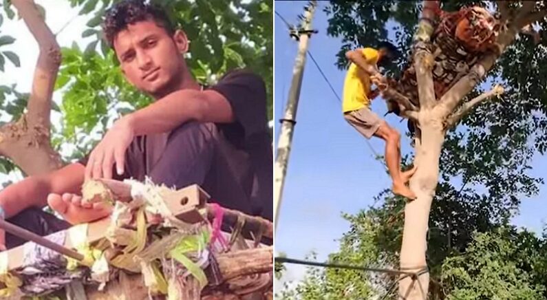 코로나 확진되자 가족들 위해 ‘나무 위’에서 자가격리한 인도 청년