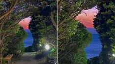 오직 자연의 힘으로만+노을 질 때만 볼 수 있는 ‘태극 한반도’ 사진이 공개됐다