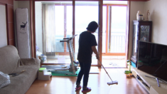 다이슨 “한국, 규칙적으로 청소 안 하는 나라 1위”