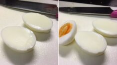 일본 주부가 발견하고 충격받은 노른자 없는 ‘100% 흰자’ 달걀