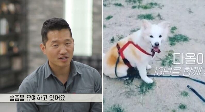 반려견과 이별을 앞둔 보호자들에 20년차 훈련사 강형욱이 전한 말