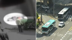 50대 중국인 여성, 전동 킥보드 타다 버스와 부딪혀 사망