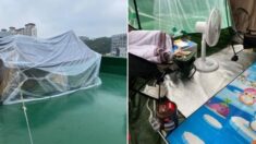“애가 사춘기 와서” 공용 옥상에 텐트 치고 살림 차린 가족의 변명