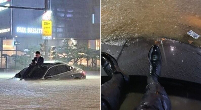 “차 위에서 느긋하게”… 역대급 폭우에 ‘서초동 현자’ SNS서 화제