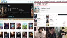 한국 드라마 ‘불법+공짜’로 못 보게 돼서 난리 난 중국 누리꾼들 상황