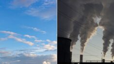 “하늘 깨끗하네”… 중국이 공장 가동 멈추니 한국에 생겨난 일