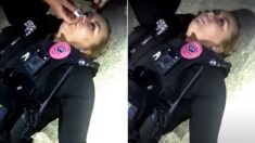 마약 단속하던 경찰, 바람에 날린 펜타닐에 기절했다 (바디캠 영상)