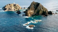 일본 외교청 “다케시마는 명백한 일본 고유 영토, 한국이 불법 점거”