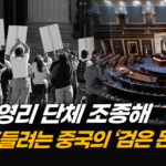 美 비영리 단체 집어삼킨 중국 자금…청문회서 논란 | 차이나인포커스