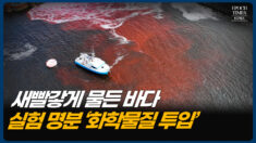 화학물질 6만 리터 투입… 뭘 위한 도박인가 [팩트매터]